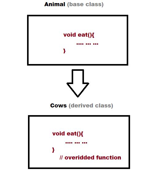 photo1_operator overriding
